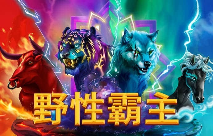 ng体育官网app