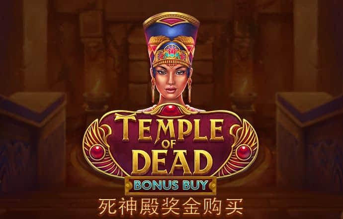55世纪平台登录